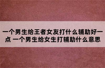 一个男生给王者女友打什么辅助好一点 一个男生给女生打辅助什么意思